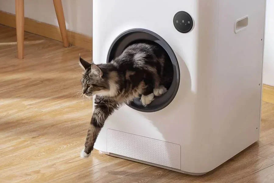 scoop free litter